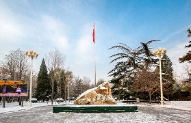 关于研究生报考2025年上半年全国大