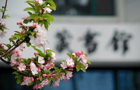 六级考试的通知