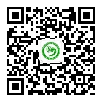 继续浏览哥斯达黎加大学孔子足球篮球官