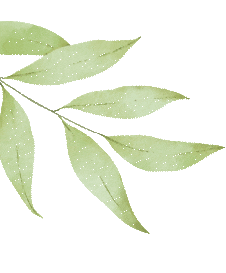 学员介绍