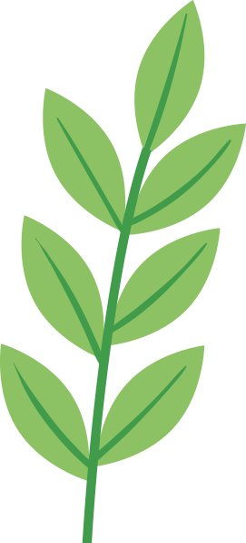 对照阅读此书由哥斯达黎加大学孔子开云