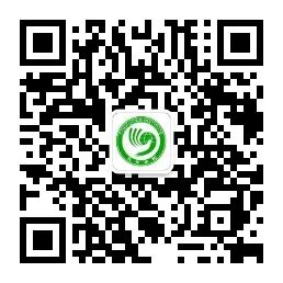第24届“汉语桥”世界大开云体育新手